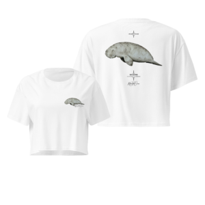 Cropped Tee - Dugong