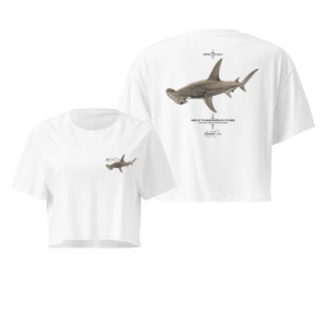 Cropped Tee - Great Hammerhead Shark