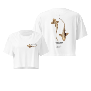 Cropped Tee - Leopard Shark