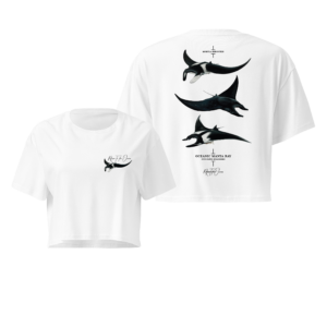 Cropped Tee - Oceanic Manta Ray