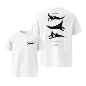 T-Shirt - Oceanic Manta Ray