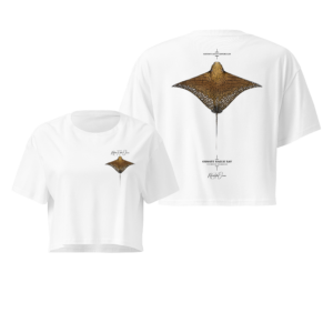 Cropped Tee - Ornate Eagle Ray