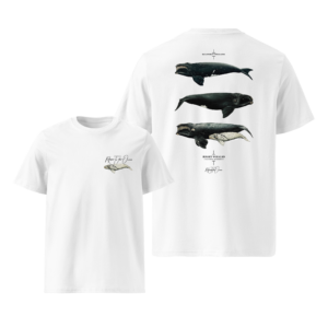 T-Shirt - Right Whale