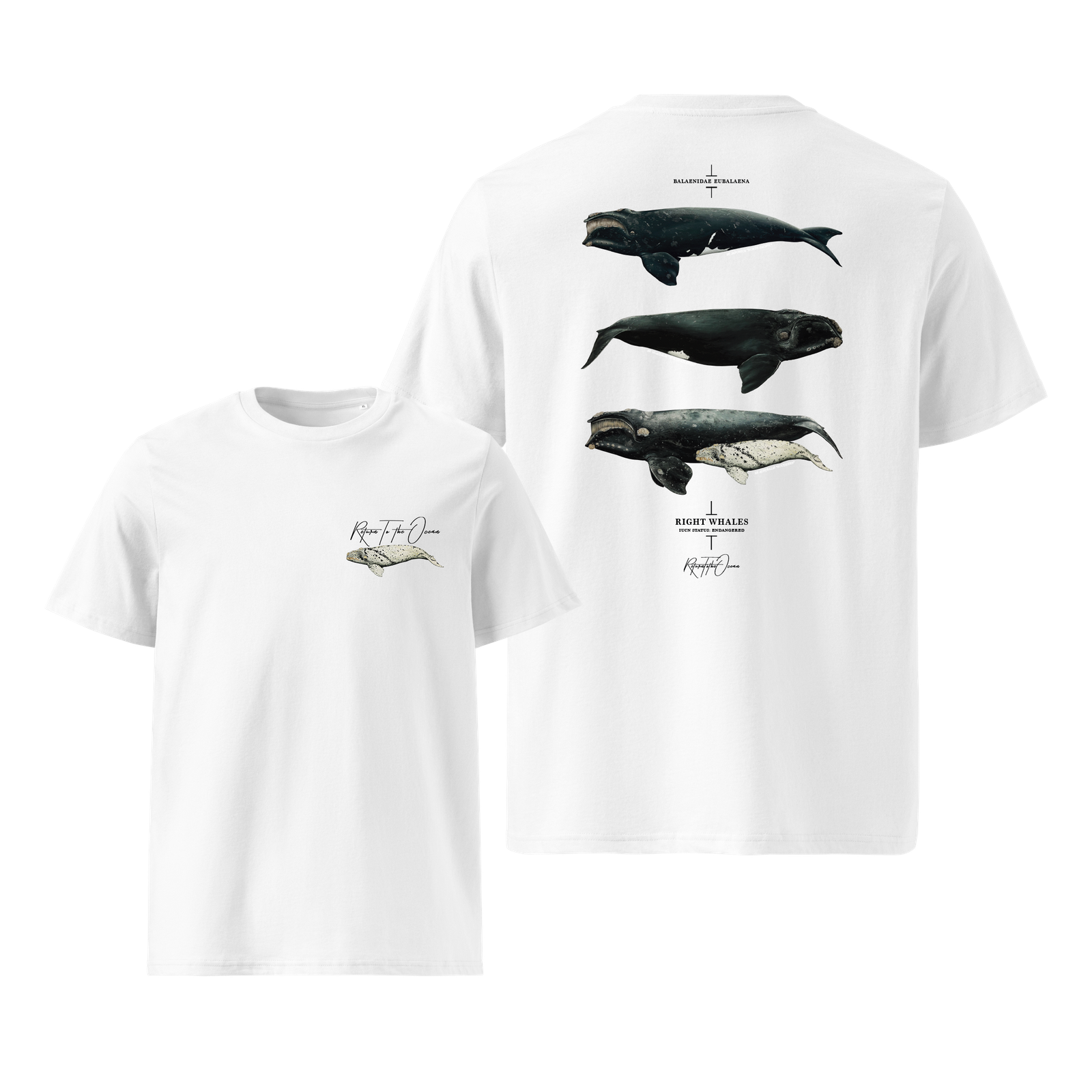 T-Shirt - Right Whale