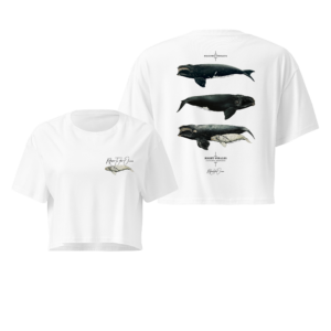 Cropped Tee - Right Whales