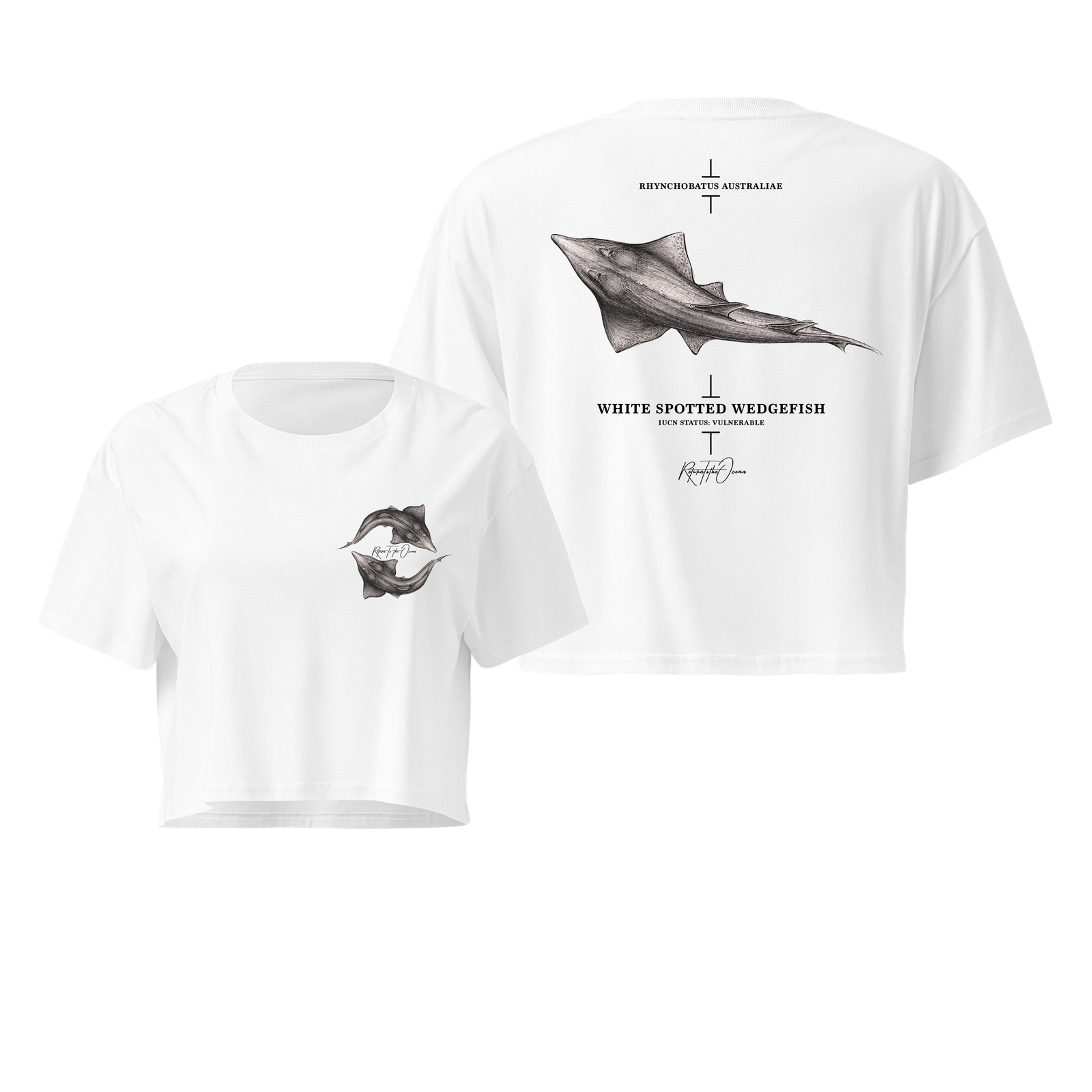 Cropped Tee - Whitespotted Wedgefish