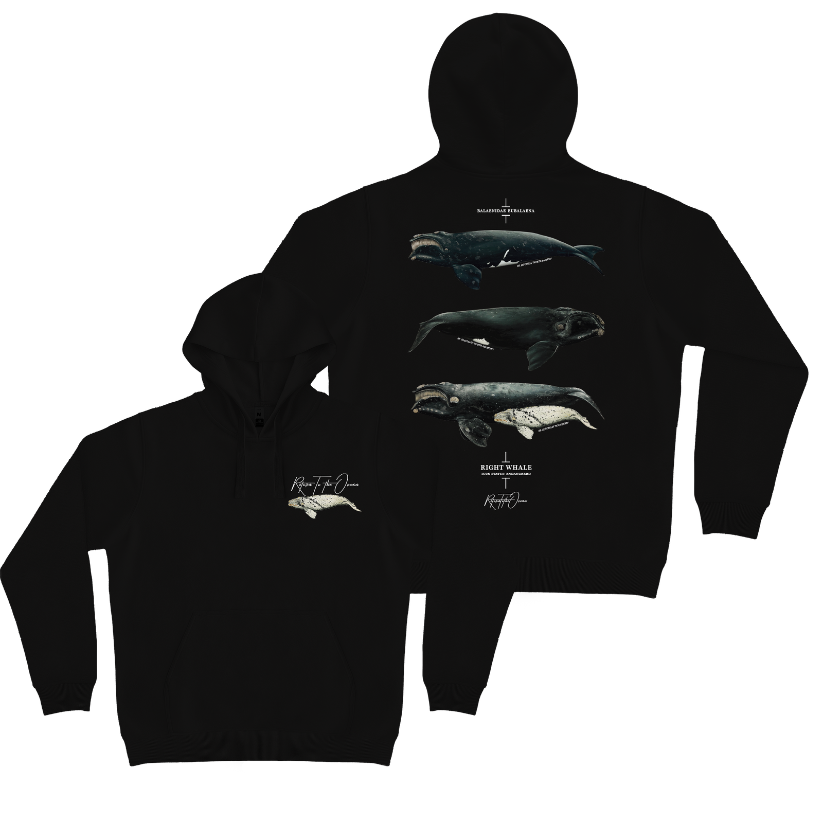 Right Whale Hoodie