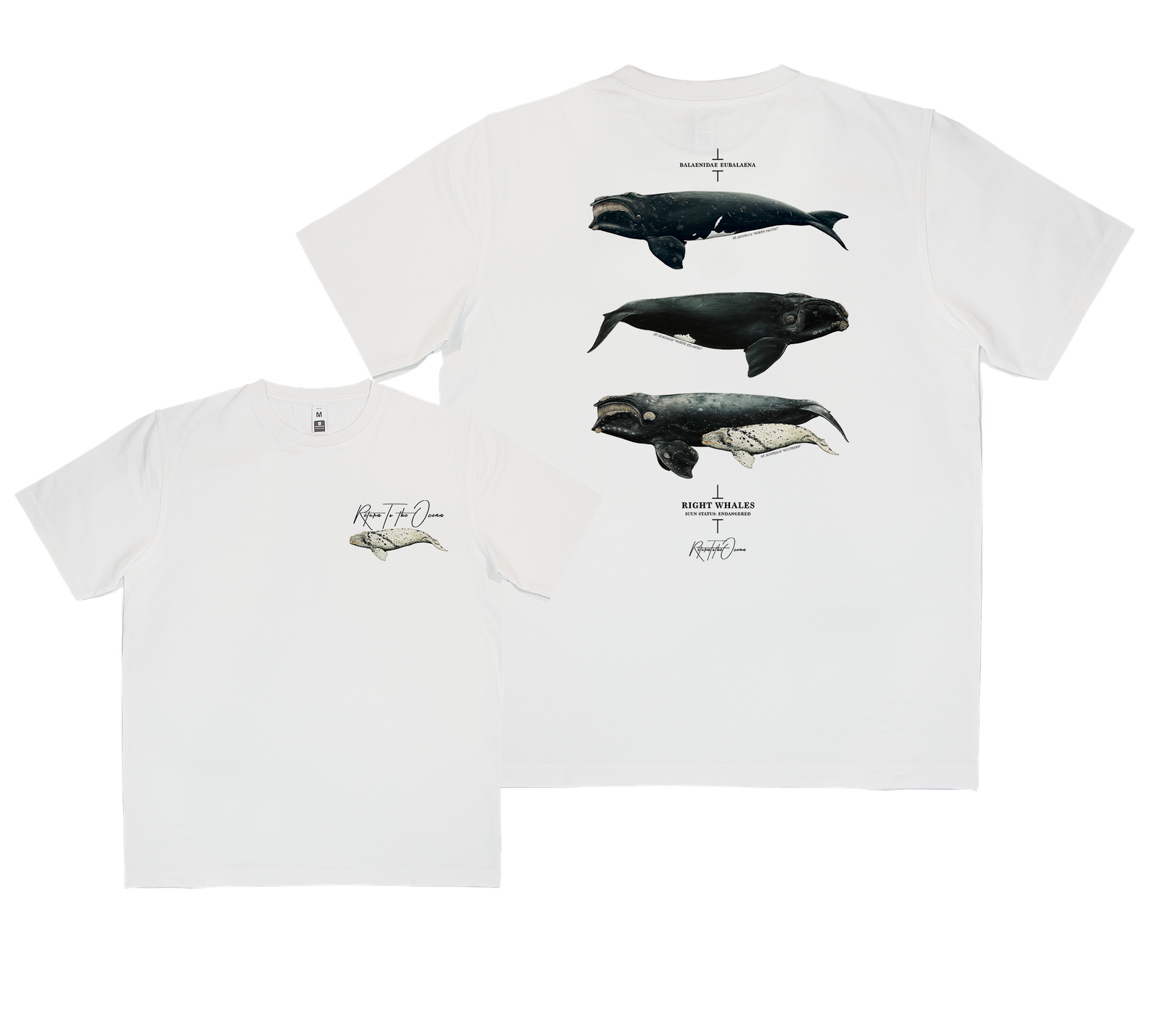 Right Whales Kids T-Shirt