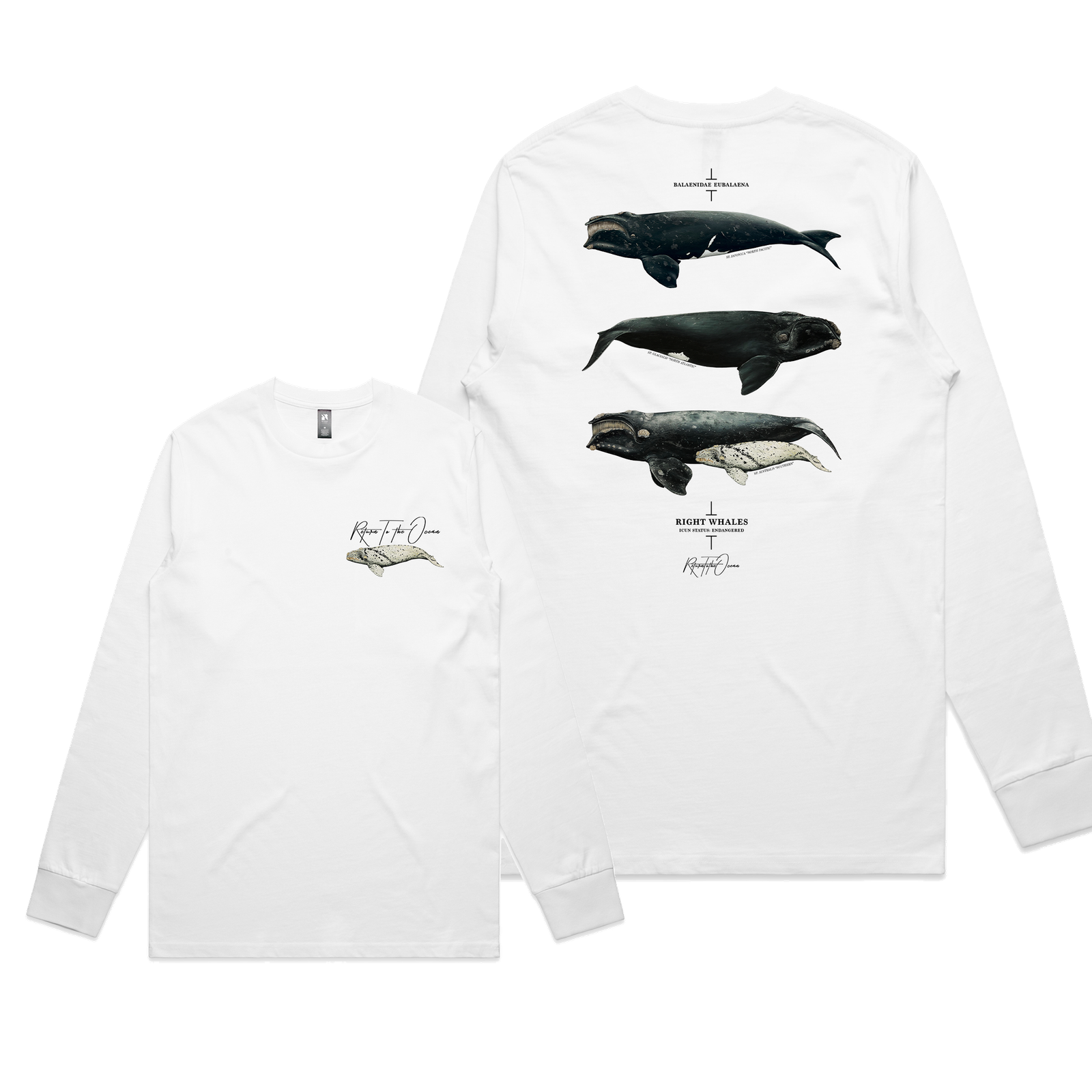 Right Whales Long Sleeve Tee