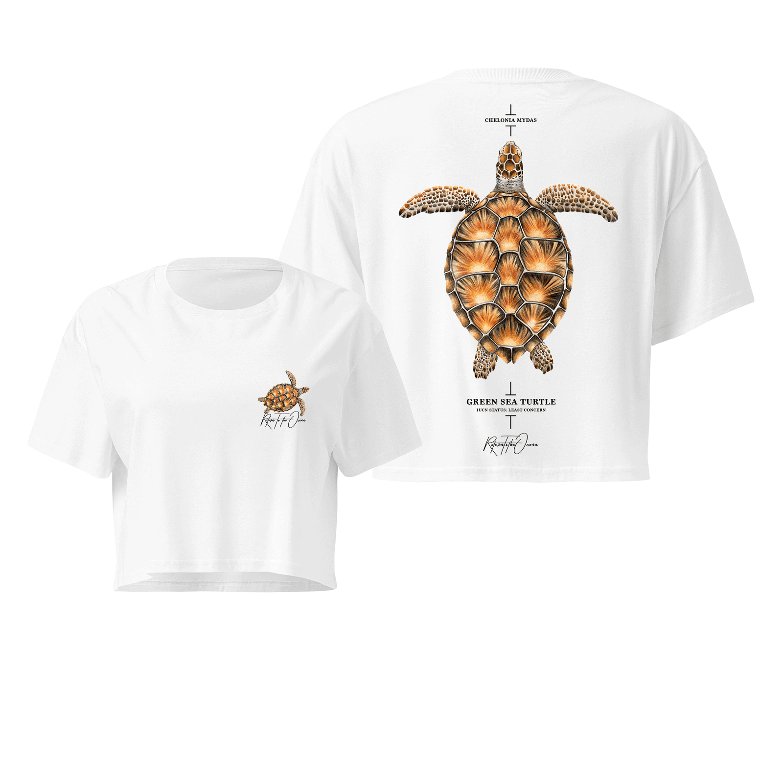 Green Turtle Crop Top